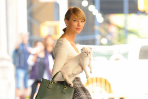 Fantastis! Kucing Taylor Swift Miliki Kekayaan hingga Rp1,5 Triliun