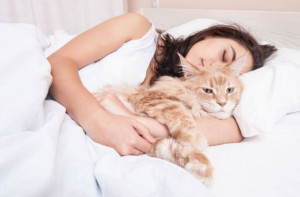 Tak Selalu Buruk, Ini 5 Manfaat Tidur dengan Kucing Peliharaan