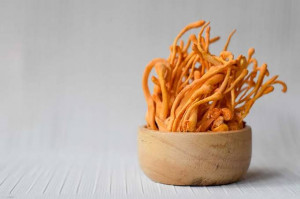 Muncul di "The Last of Us", Ini 6 Manfaat Jamur Cordyceps