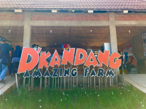 6 Aktivitas Seru D'Kandang Amazing Farm, Wisata Edukasi yang Ramah Anak