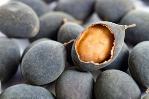 6 Jenis Asam yang Membuat Masakan Makin Segar dan Nikmat