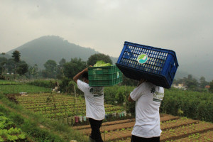 Kurangi Sampah Makanan, EdenFarm Gandeng FoodCycle Indonesia dan Campaign