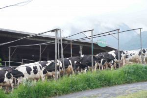 Hari Susu Sedunia, Greenfields Tegaskan Komitmennya Untuk Dukung Kesehatan dan Kesejahteraan Masyarakat