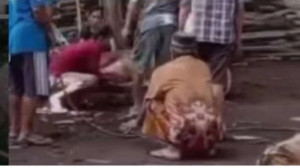 Viral! Detik-Detik Pria Paruh Baya Meninggal Dunia Saat Menyaksikan Hewan Kurbannya Disembelih