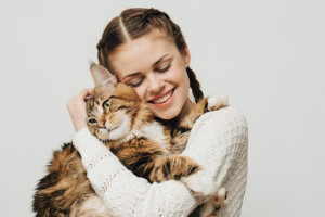 Rayakan International Cat Day, Ini 6 Kucing Termahal di Dunia