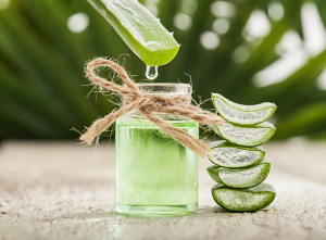 5 Manfaat Lidah Buaya untuk Kulit Menurut Dermatologis, Salah Satunya Cegah Penuaan