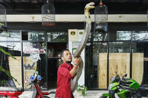 Terlihat Semakin Kurus, Panji Petualang Beberkan Alasannya