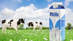 Cegah Stunting, Greenfields Ajak Keluarga Cermat Lengkapi Kebutuhan Nutrisi Protein Hewani Anak