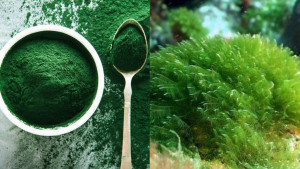 Digunakan dalam Produk Kecantikan, Ini 6 Manfaat Spirulina Bagi Kulit