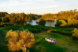 Mau ke Australia Barat? Ketahui dulu Swan Valley dan Rottnest Island