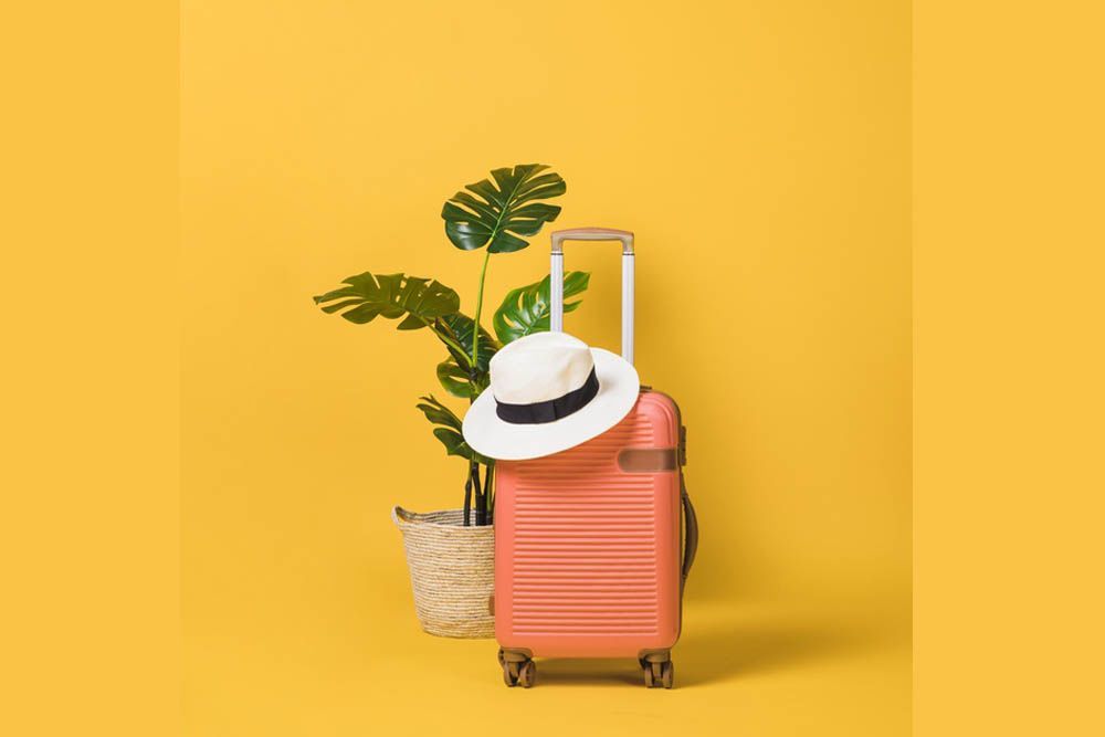 Ukuran Koper Kabin Pesawat Ladiestory Id