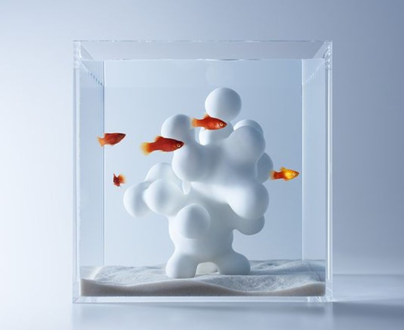 aquarium minimalis 