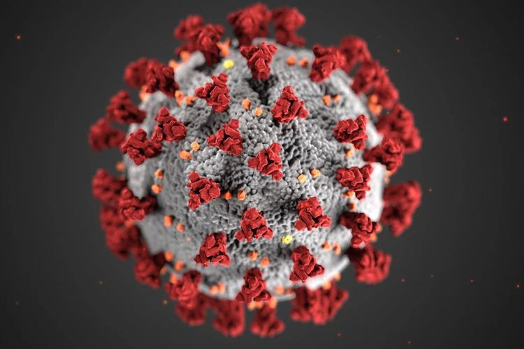 Ilustrasi virus corona (Special)