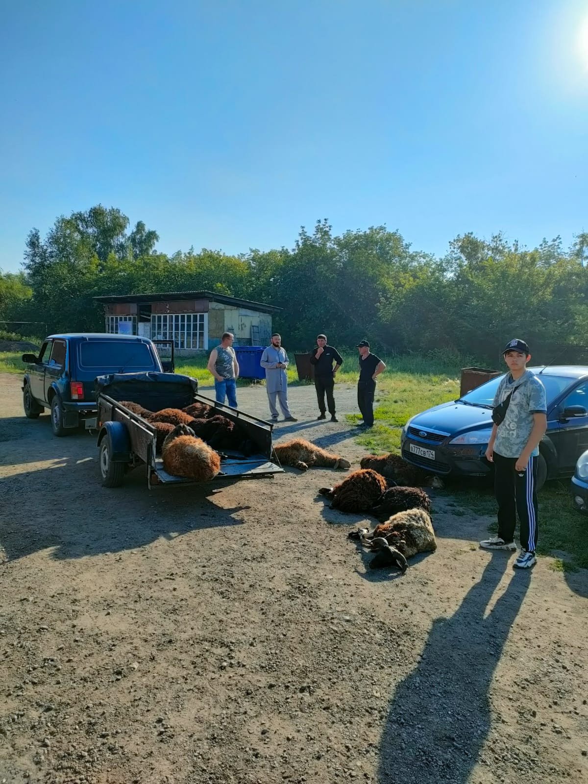 Pasar Kambing Setelah Shalat Ied di sebuah Masjid di Rusia