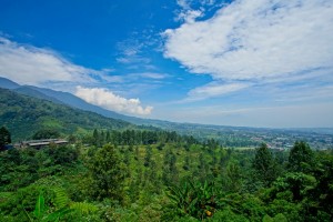 10 Tempat Wisata Asyik di Bogor :)