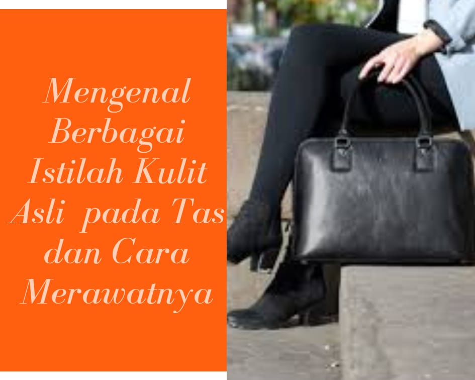 Mengenal Berbagai Istilah Kulit Asli Pada Tas Dan Cara Merawatnya