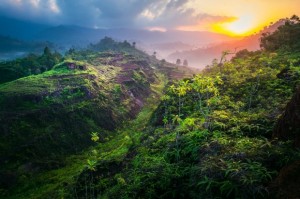 9 Tips Memilih Susu Bayi yang Baik dan Tepat