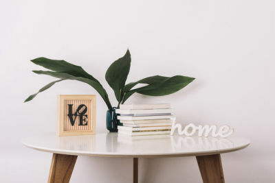 Jenis Tanaman Hias  untuk Suasana Rumah Lebih Sejuk