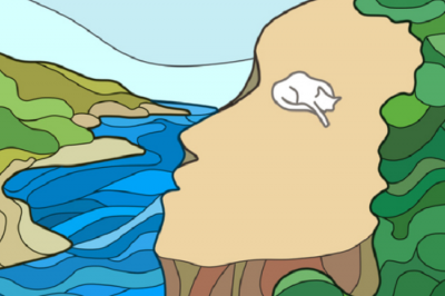 Apa Gambar Pertama yang Kamu Lihat dari Gambar Ini? Test Kepribadian