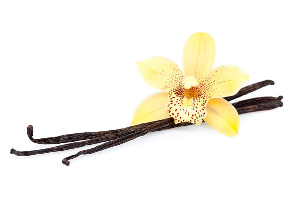 Rekomendasi Merek Sabun Mandi Yang Menawarkan Aroma Vanilla