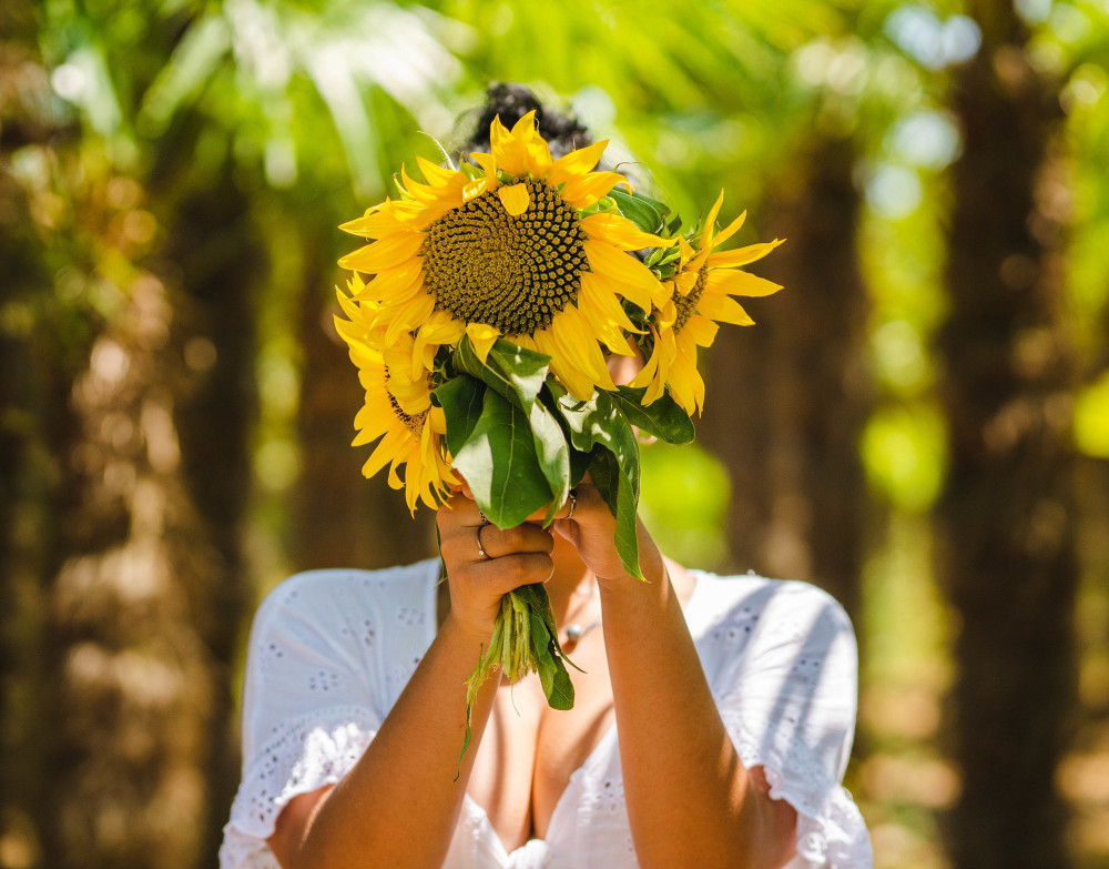 Mengenal 6 Filosofi Bunga Matahari Yang Bisa Jadi Inspirasi