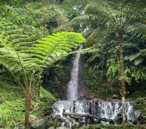 Menjelajahi Pesona Keindahan Curug Ngumpet Bogor