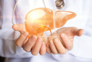 Waspada, 8 Kebiasaan Buruk Ini Bisa Merusak Kesehatan Liver