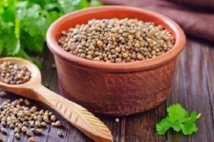 10 Khasiat Ketumbar untuk Kesehatan Tubuh