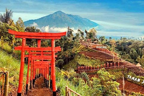 Mirip Suasana Di Jepang, Intip Keindahan Taman Jinja Karangasem Bali