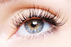 4 Rekomendasi Macam Eyelash Extension Berdasarkan Negara