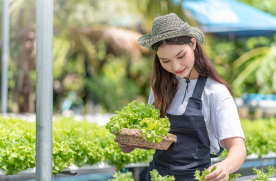 Sayur Dan Buah Yang Cocok Ditanam Petani Dan Pengelolaan Lahan Dataran Tinggi