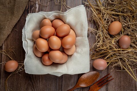 Penting! Ini Manfaat Telur Ayam Kampung untuk Kesehatan