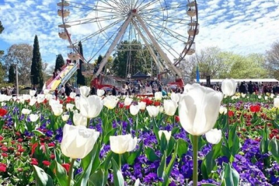 5 Festival Bunga di Australia ini Wajib Kamu Kunjungi Saat Musim Semi 