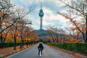 Aktivitas Seru Yang Wajib Dilakukan Jika Berkunjung Ke Kota Daegu Korea Selatan