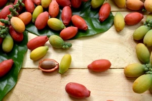 Enak dan Berkhasiat, 7 Manfaat Kulit Melinjo untuk Kesehatan Tubuh