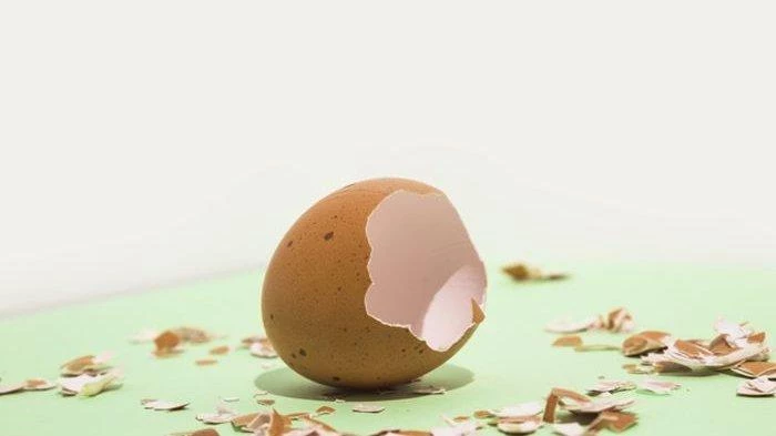 Bisa Dimakan, Ini 4 Manfaat Bubuk Cangkang Telur Bagi Kesehatan Dan Kecantikan